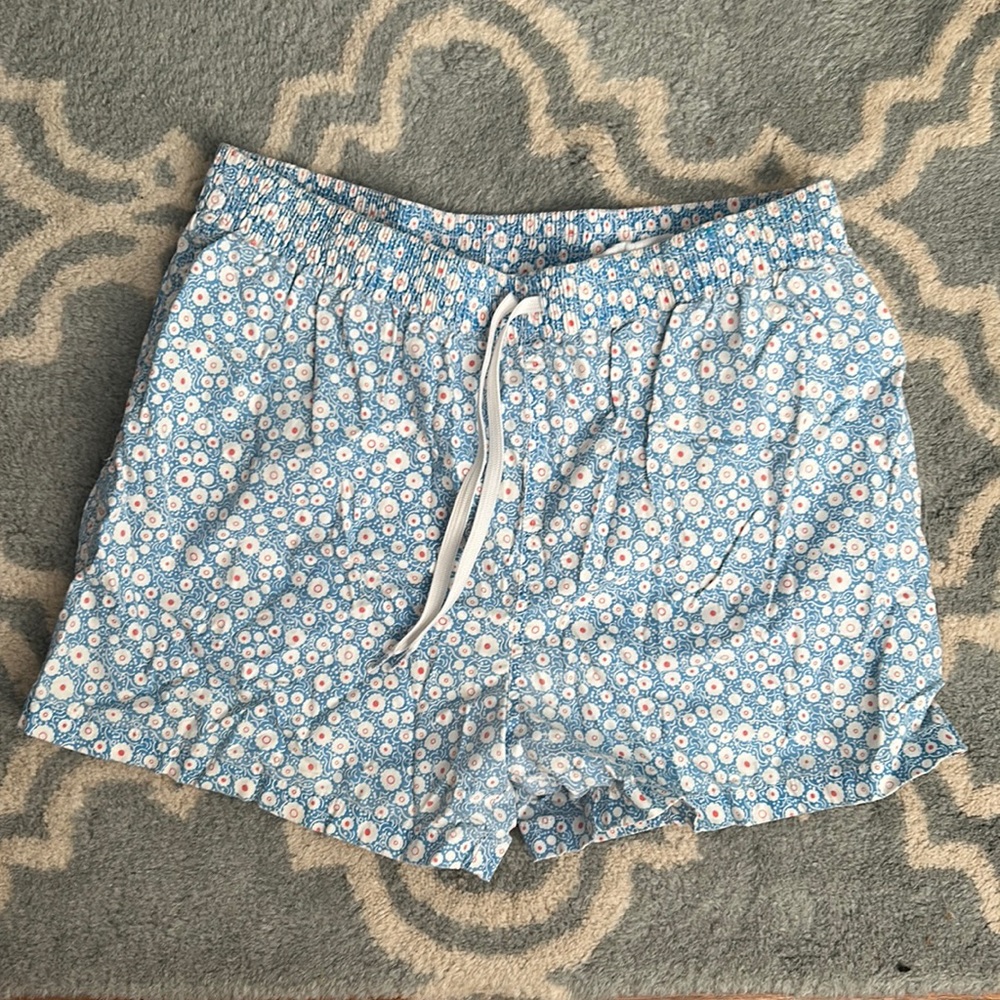 Chubbies Swim Trunks